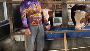 Asosiasi Peternak Penggemuk Sapi Indonesia Appsi Jabar